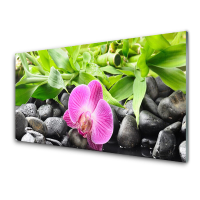 Tableau photo sur verre Fleur d'orchidée sur pierres Bambou