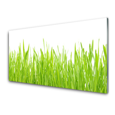 Tableau sur verre Plante d'herbe Nature