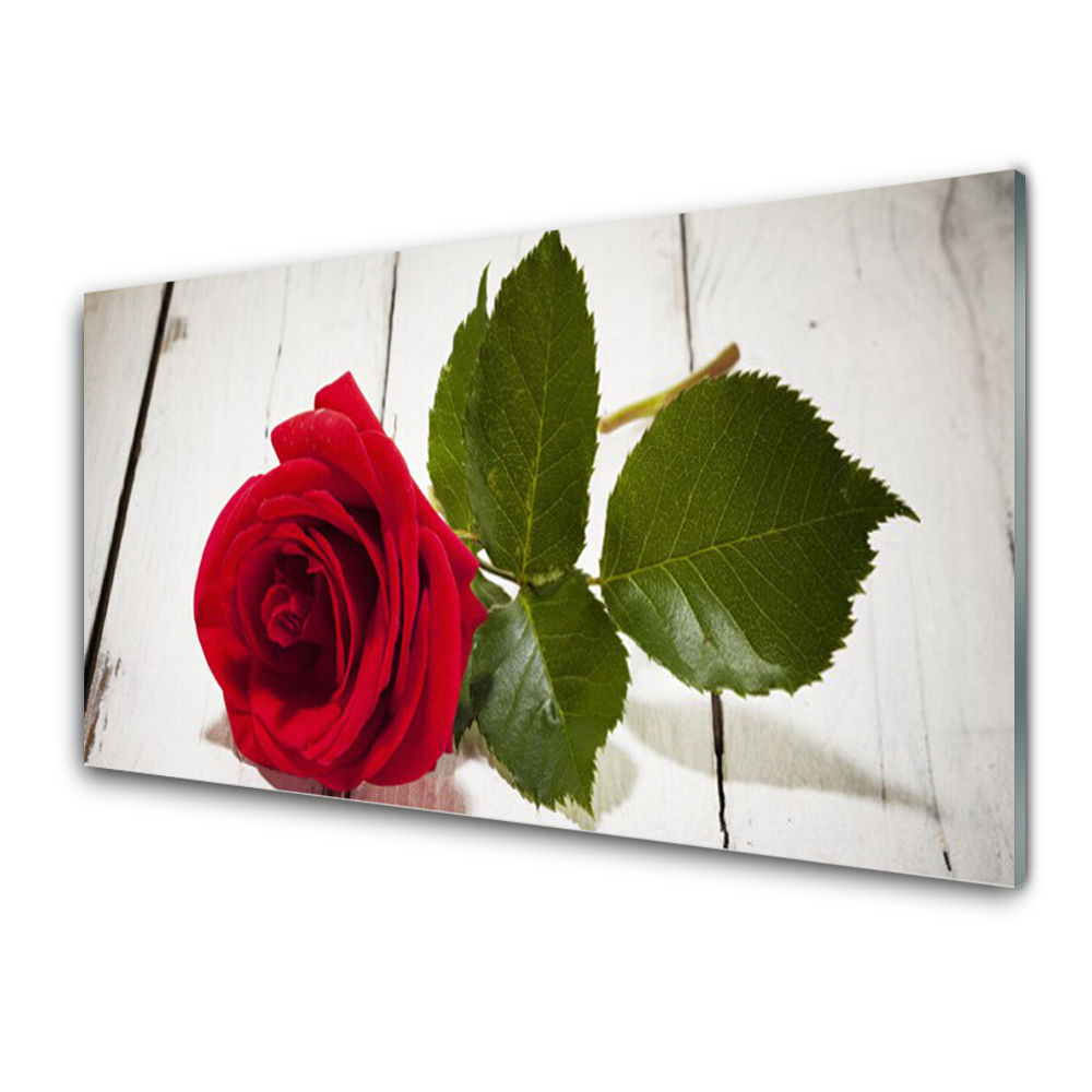 Tableau verre imprimé Rose Flower Plant Nature Board