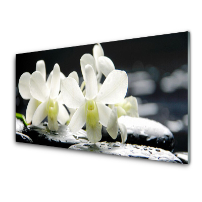 Tableau imprimé sur verre Pierres Fleurs Orchidée blanche