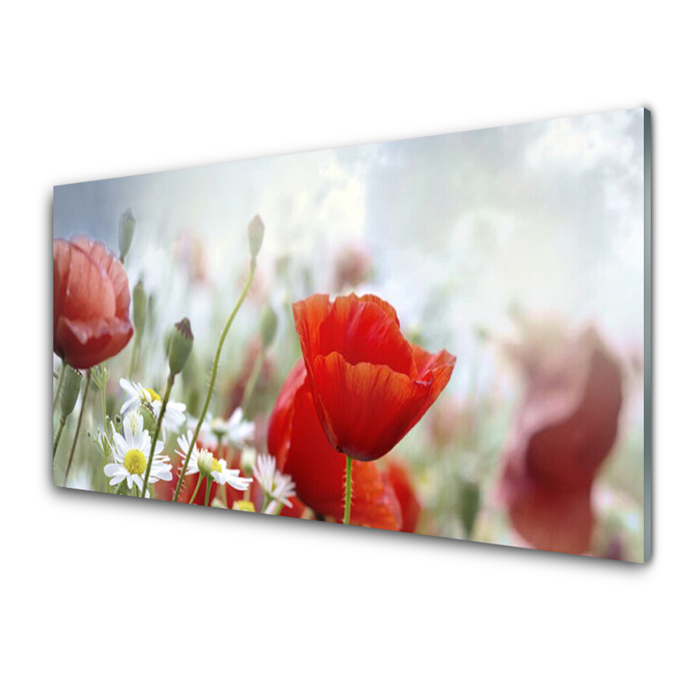 Tableau photo sur verre Fleurs des champs Coquelicots rouges