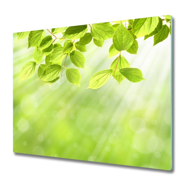 Protection pour plaque de cuisson Jeunes feuilles