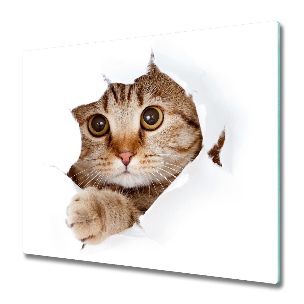 Cache plaque de cuisson Chaton émergeant de l'arrière-plan