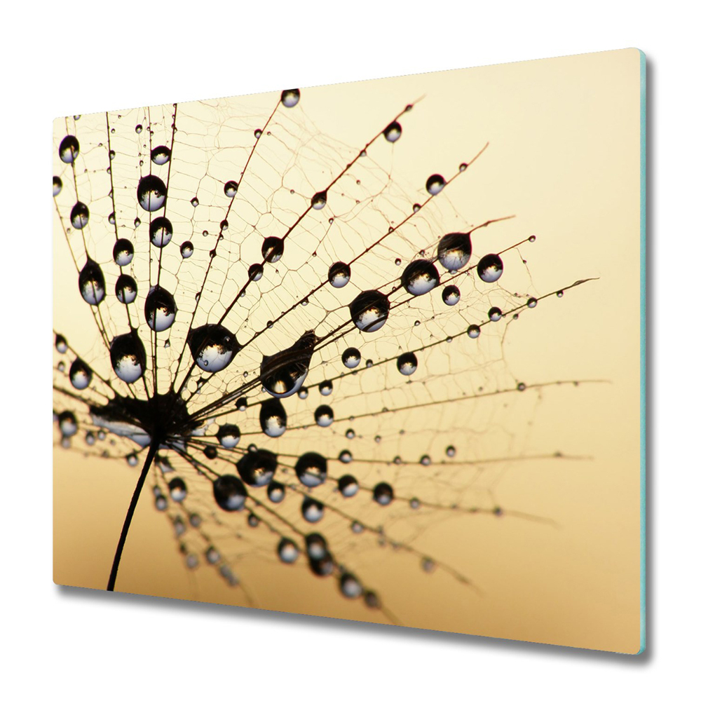 Protège plaque de cuisson Rosée sur une graine de poisson