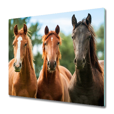 Protection plaque induction Trois chevaux