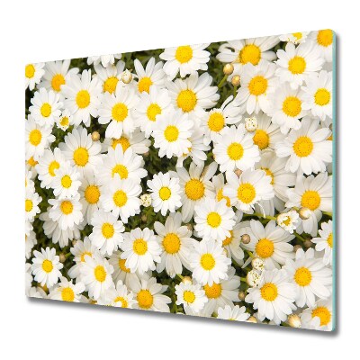 Protection plaque induction Fond de marguerite