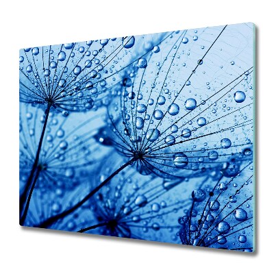 Protection pour plaque de cuisson Graine de poisson avec gouttes de rosée