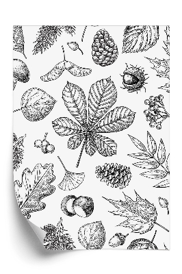 Papier peint Motif d'automne