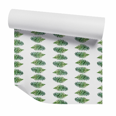 Papier peint Feuilles de fougère