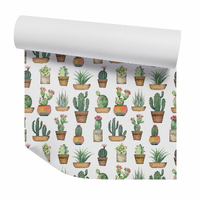 Papier peint Cactus en pots