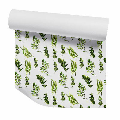 Papier peint Feuilles de plantes de différentes espèces