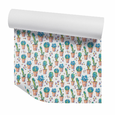 Papier peint Pots de cactus et cailloux