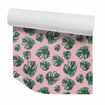 Papier peint Feuilles de monstera végétation dessinée