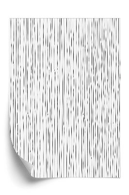 Papier peint Lignes verticales noires et blanches