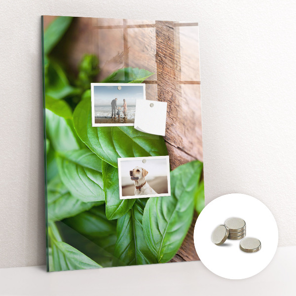 Tableau aimanté mural Basilic