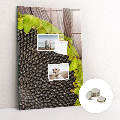 Tableau magnétique design Graines de tournesol