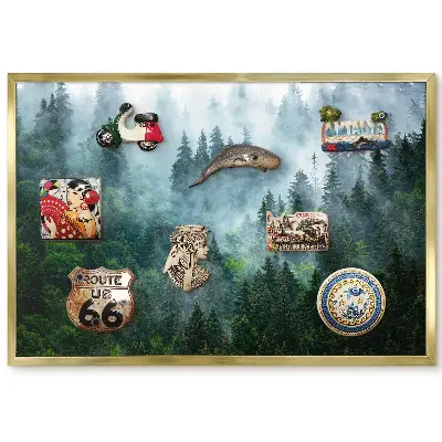 Panneau pour aimants souvenirs forêt dense dans le brouillard avec verdure et lumière