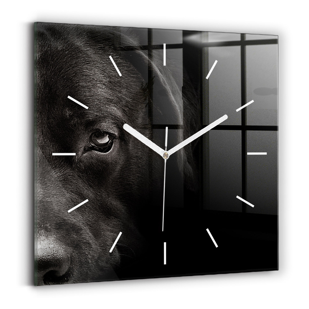 Horloge carrée en verre Chien et chat écossais