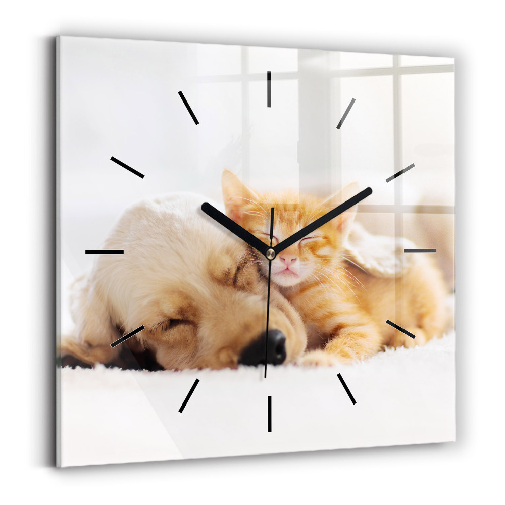 Horloge murale carrée Chat et chien endormis
