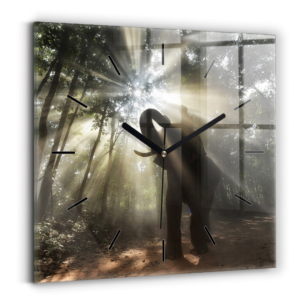 Horloge murale carrée Éléphant dans la jungle