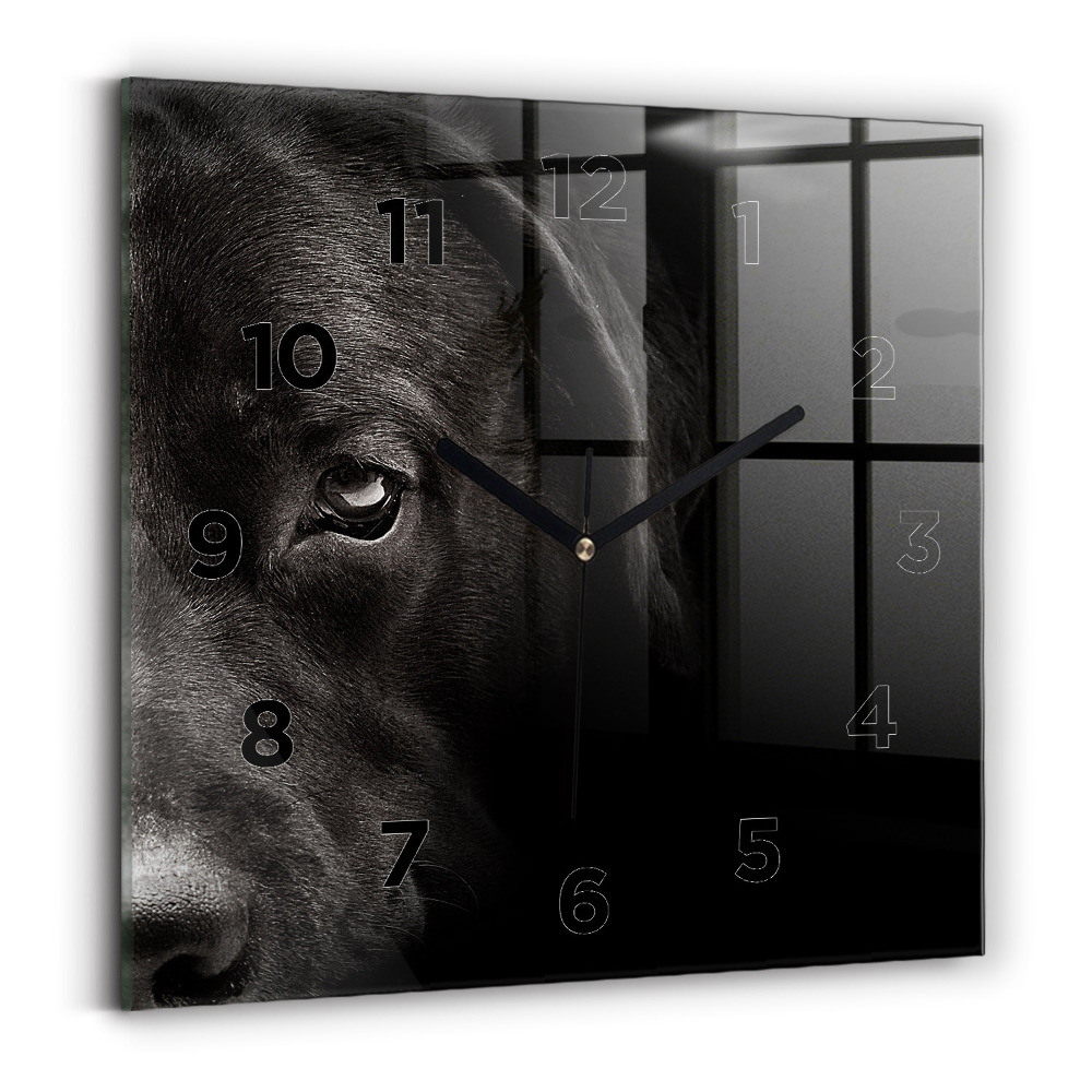 Horloge carrée en verre Chien et chat écossais