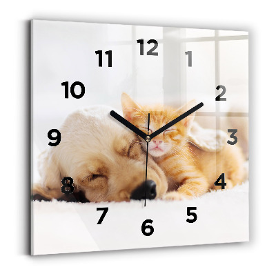 Horloge murale carrée Chat et chien endormis