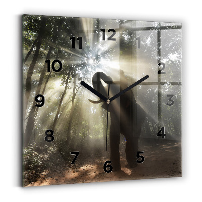 Horloge murale carrée Éléphant dans la jungle