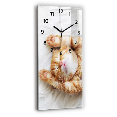 Horloge murale verticale Petit chat endormi