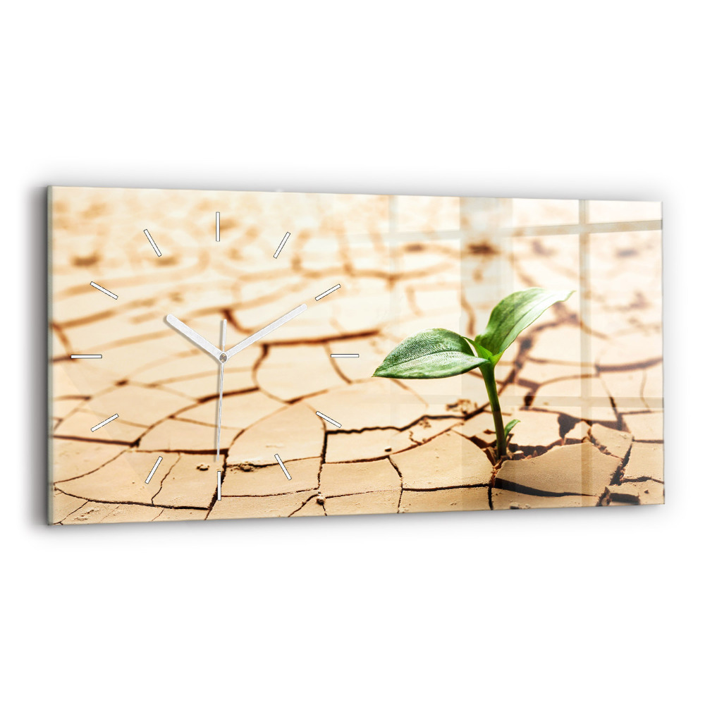 Horloge horizontale en verre Plante en terre sèche
