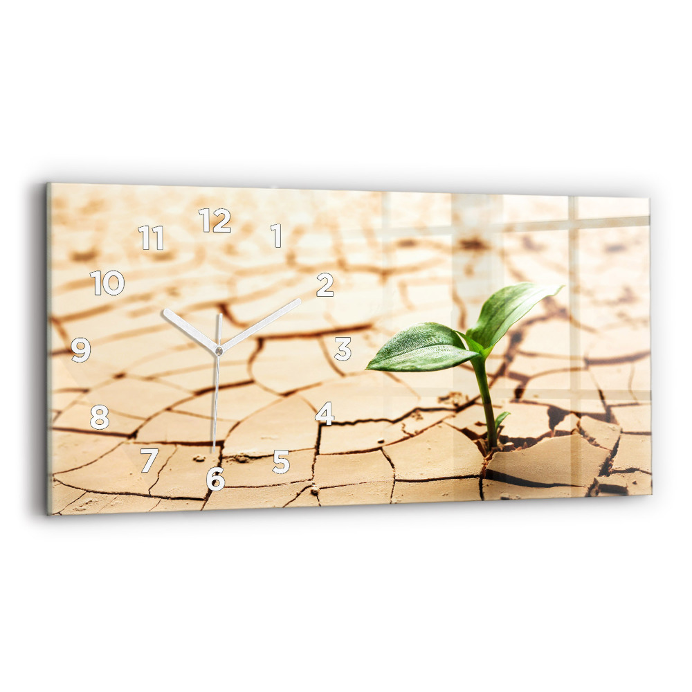 Horloge horizontale en verre Plante en terre sèche