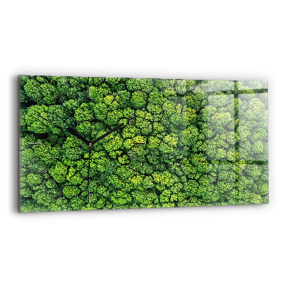 Horloge murale horizontale Forêt vue d'oiseau