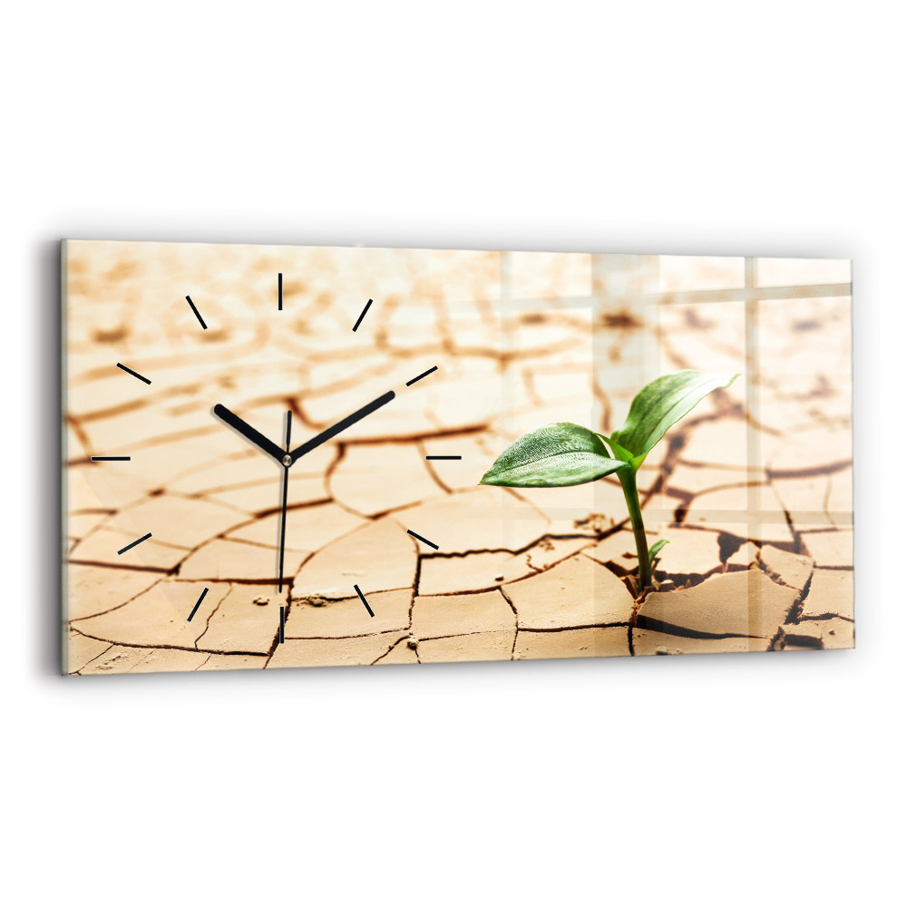 Horloge horizontale en verre Plante en terre sèche