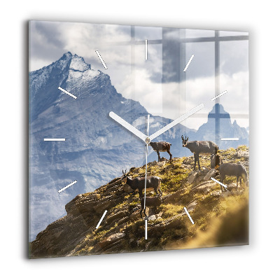 Horloge murale carrée 60x60 cm Chèvre dans la vallée d'Aoste