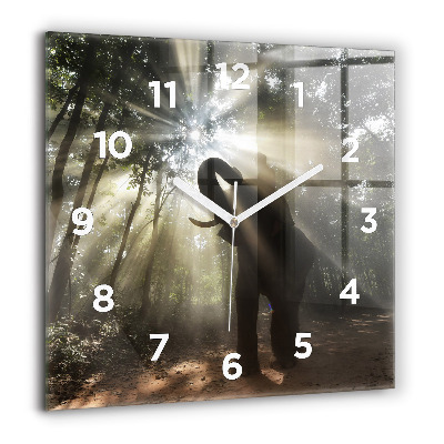 Horloge murale carrée 60x60 cm Éléphant dans la jungle