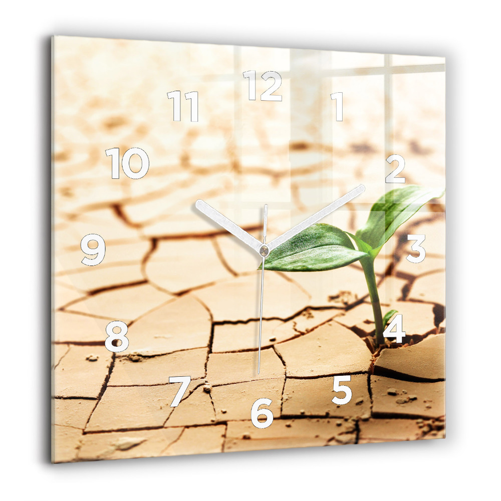 Horloge carrée en verre 60x60 cm Plante dans un sol sec