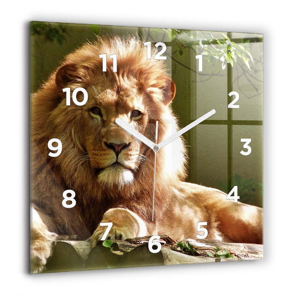 Horloge murale carrée 60x60 cm Portrait d'un lion