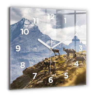 Horloge murale carrée 60x60 cm Chèvre dans la vallée d'Aoste