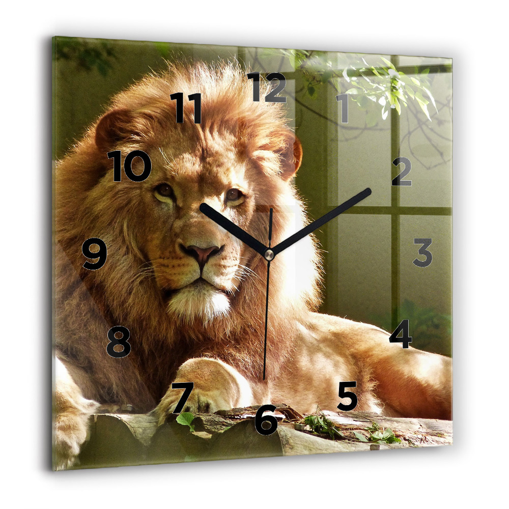 Horloge murale carrée 60x60 cm Portrait d'un lion