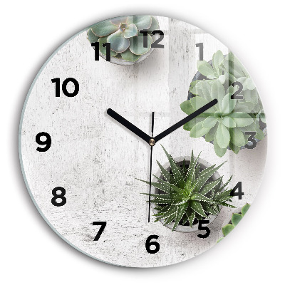 Horloge ronde murale Plantes décoratives