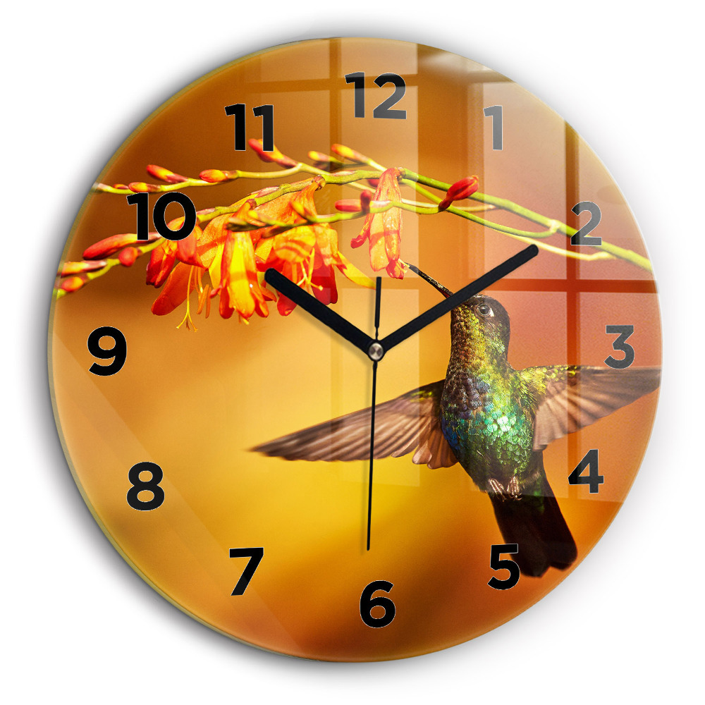Oiseau colibri Horloge ronde murale 60 cm