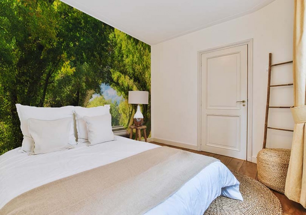 Peintures murales en 3D